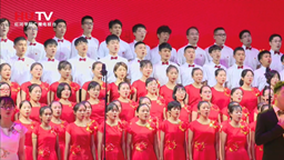 照片2